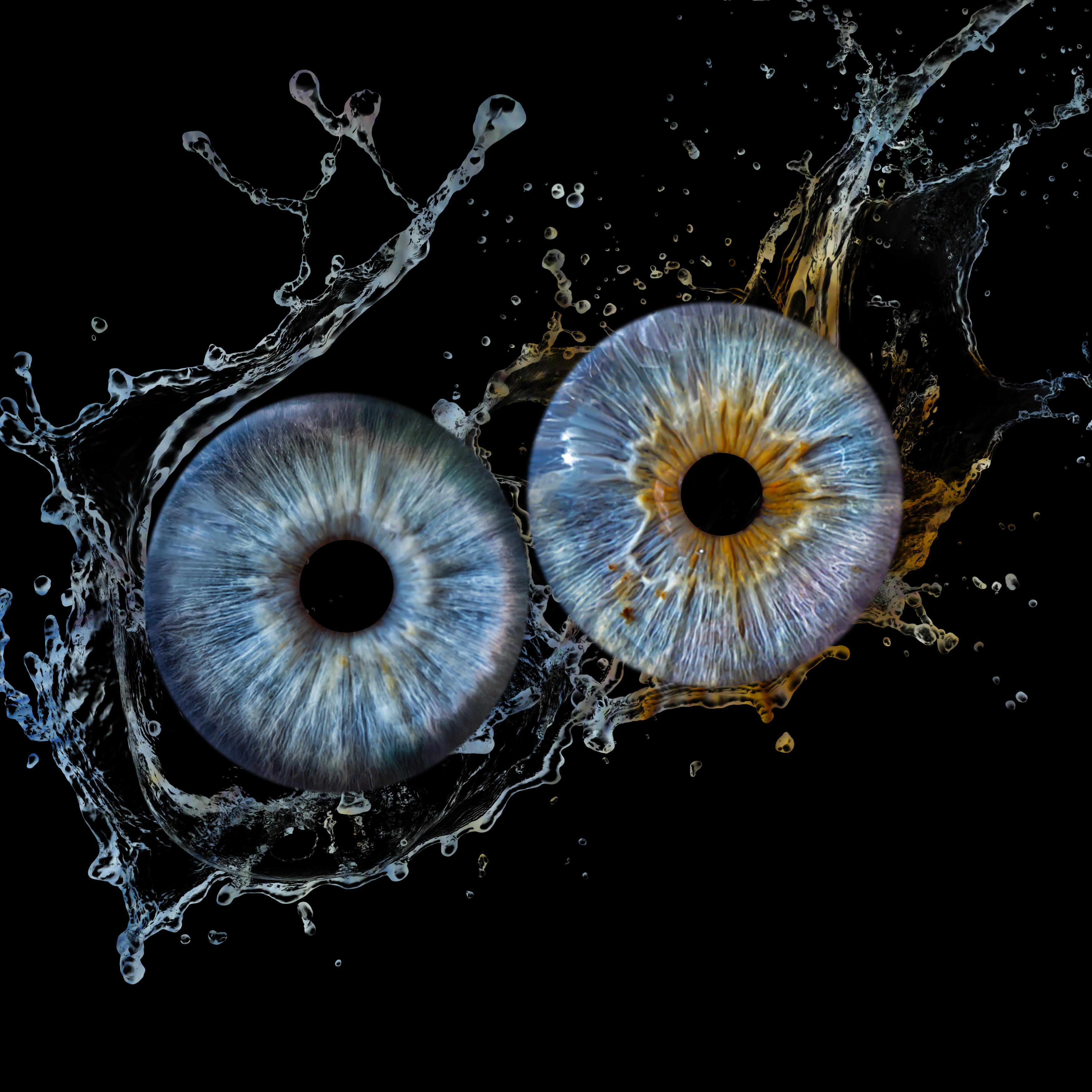 Iris